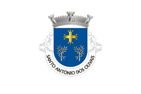 Comissão Social de Freguesia da Junta de Freguesia de Santo António dos Olivais